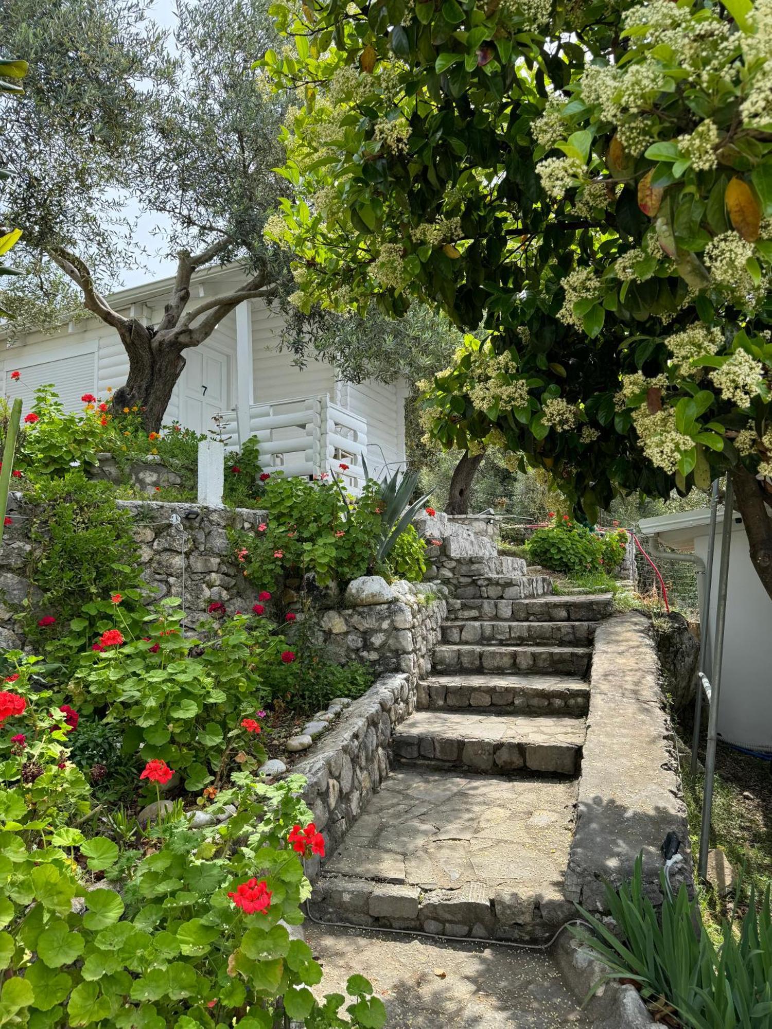 Hotel Alevra Dhërmi Esterno foto